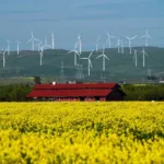 Зеленый курс под угрозой: сенат США урезает льготы для ВИЭ