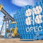 Ставка на черное золото: ОПЕК прогнозирует рост спроса на нефть до 2050 года