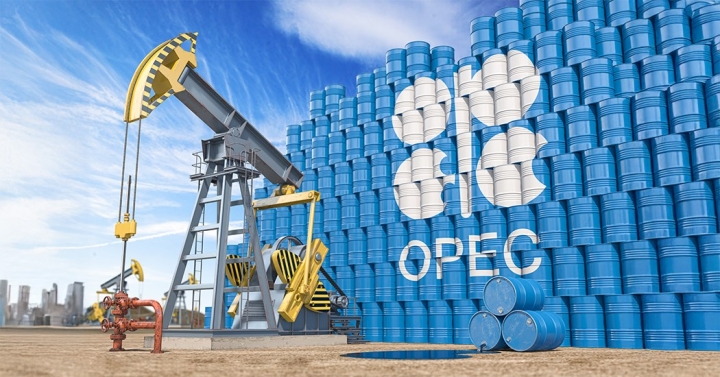 Ставка на черное золото: ОПЕК прогнозирует рост спроса на нефть до 2050 года
