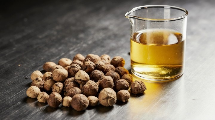 Биодизель из отходов: ореховая скорлупа как топливо будущего