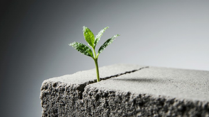 ЕС обсуждает сокращение выбросов на 90% на фоне внутренних разногласий